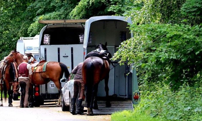 Sicherheit beim Transport von Pferden
